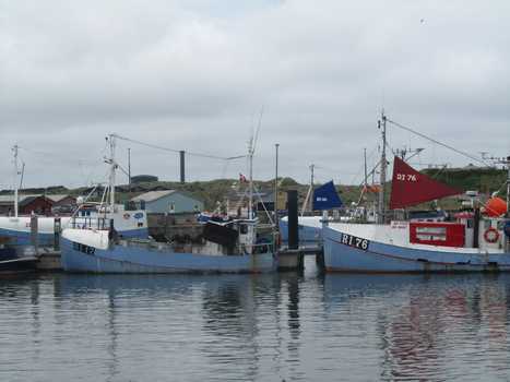 Hvide Sande