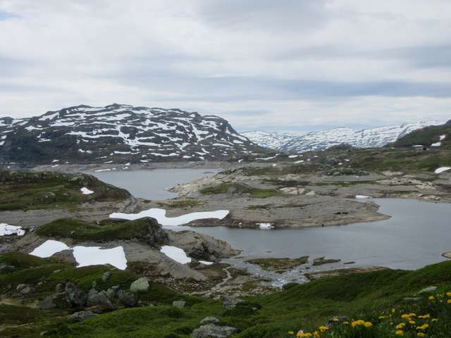 Haukeli