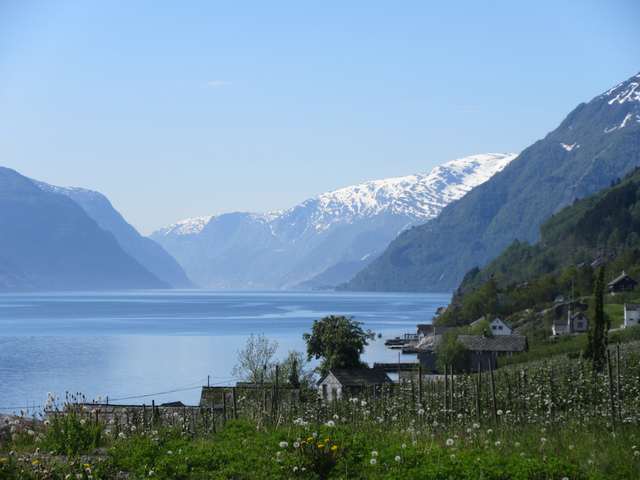 S�rfjorden fra Aga