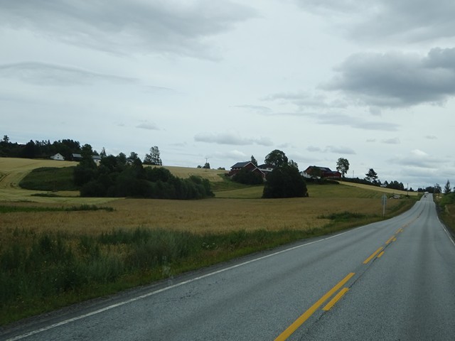 Korn�krer langs vegen