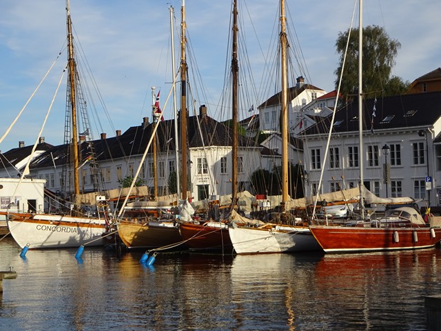 Treb�ter i Ris�r