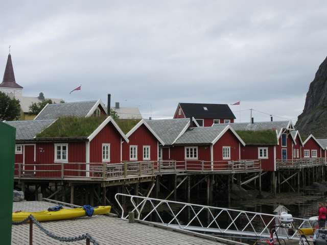 Reine
