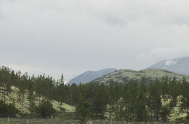Rondane