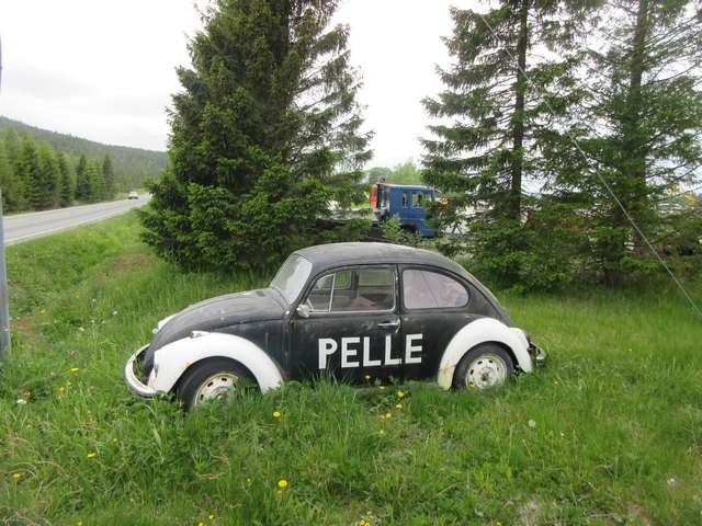 Pelle politi