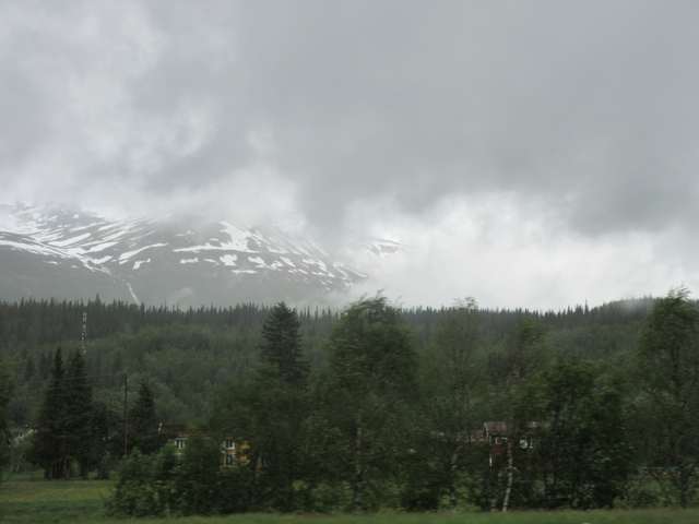 Saltfjellet
