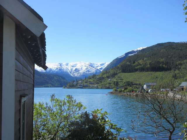 Ulvik fjord i Hardanger
