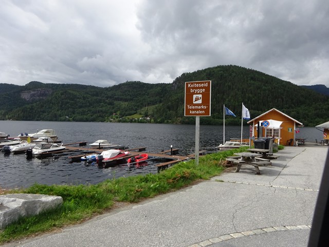 Kviteseid