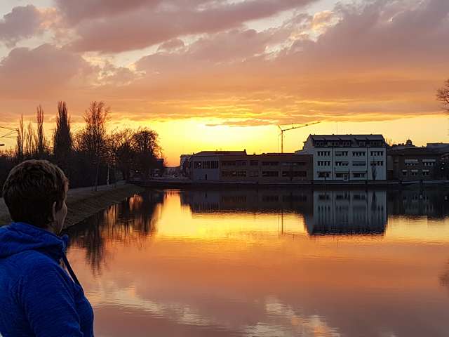 Arvika