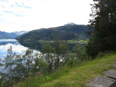 Bergen
