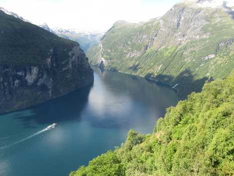 rnesvingene