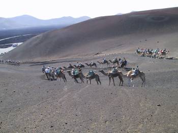 Kameltur p Timanfaya Nasjonalpark