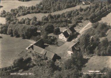 Hogganvik grd