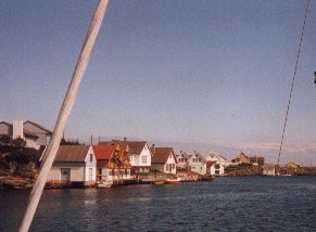 Kvitsy