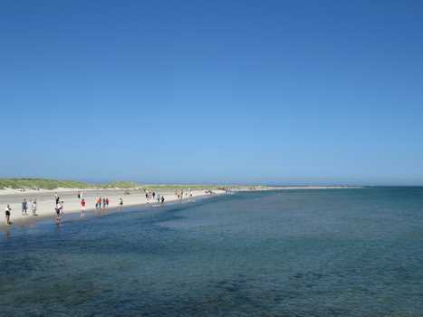 Skagen