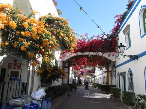 gate i Mogan