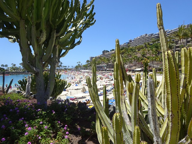 Stranden ved Anfi del Mar