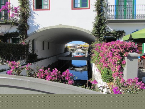 kanal i mogan