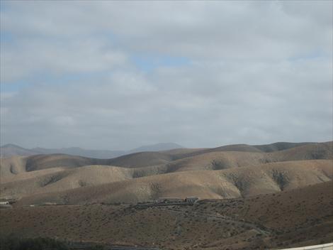 Lite vegetasjon - �rken over alt