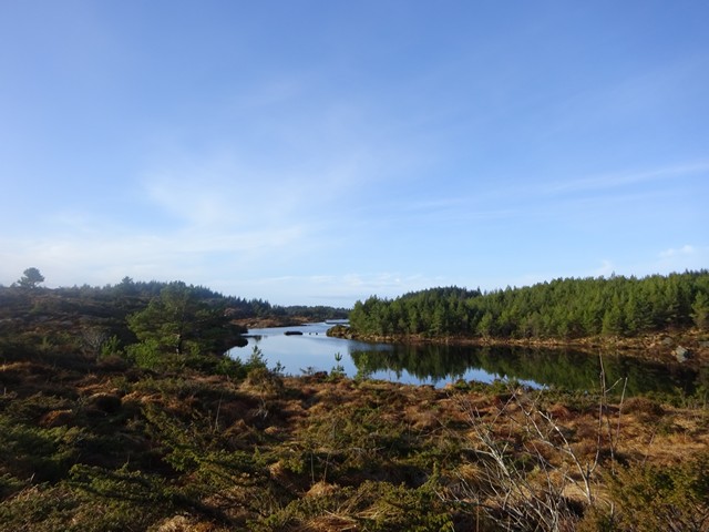 Aureivatnet