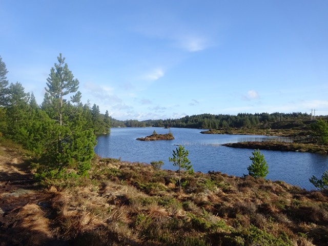 Aureivatnet