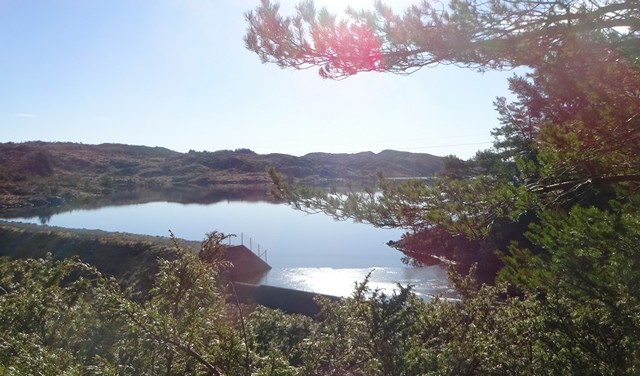 vre Brekkevann