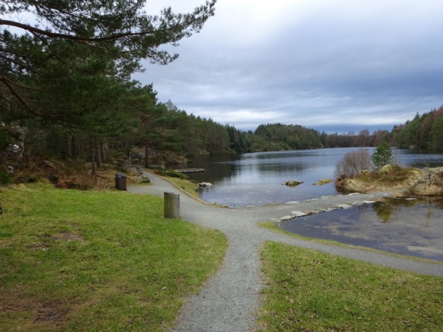 Badeplass