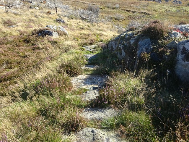 Fin sti av stein opp til Vikraleg�