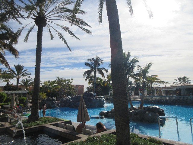 Palm Oasis