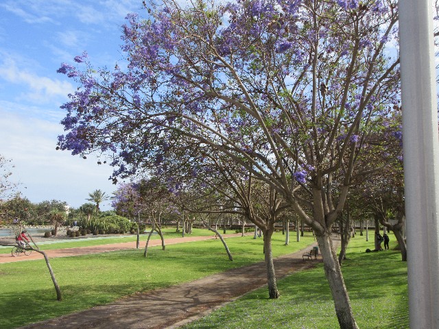 Park del sur