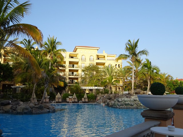 Palm Oasis