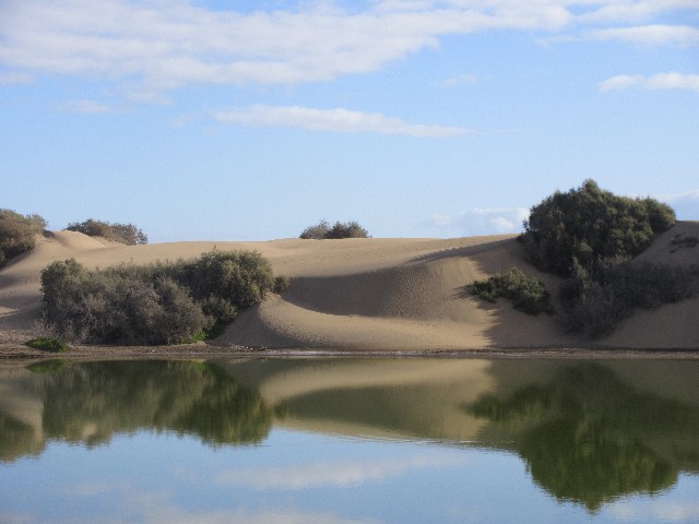Maspalomas