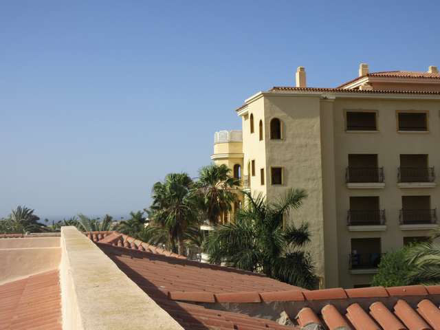 Palm Oasis
