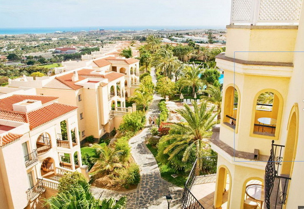 Palm Oasis